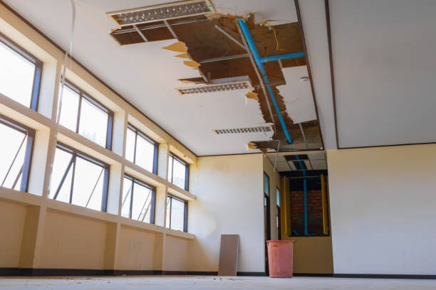 Best Water damage restoration near me  in Raeford, NC