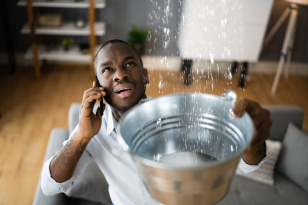 Best Flood restoration services  in Raeford, NC