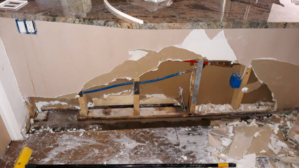 Best Water damage cleanup near me  in Raeford, NC