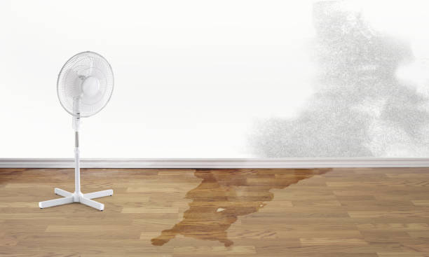 Best Residential water damage restoration  in Raeford, NC