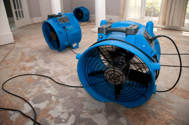 Best Commercial water damage restoration  in Raeford, NC