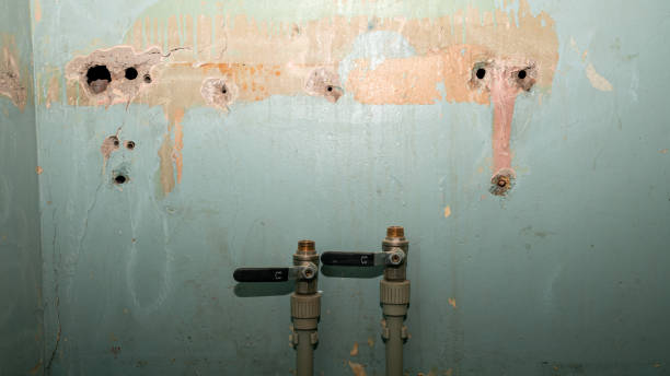 Best Flooded house restoration  in Raeford, NC