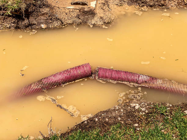 Water damage restoration process in NC