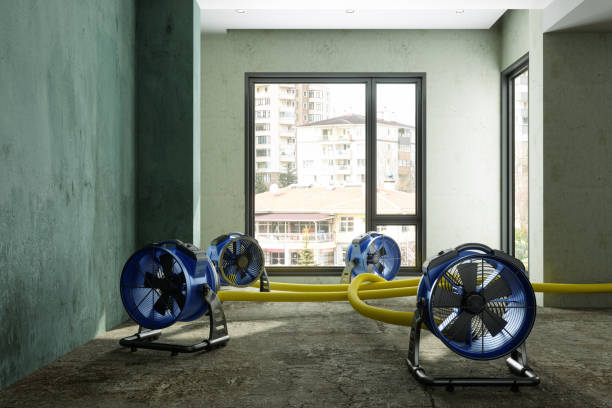 Best Water damage restoration near me  in Raeford, NC